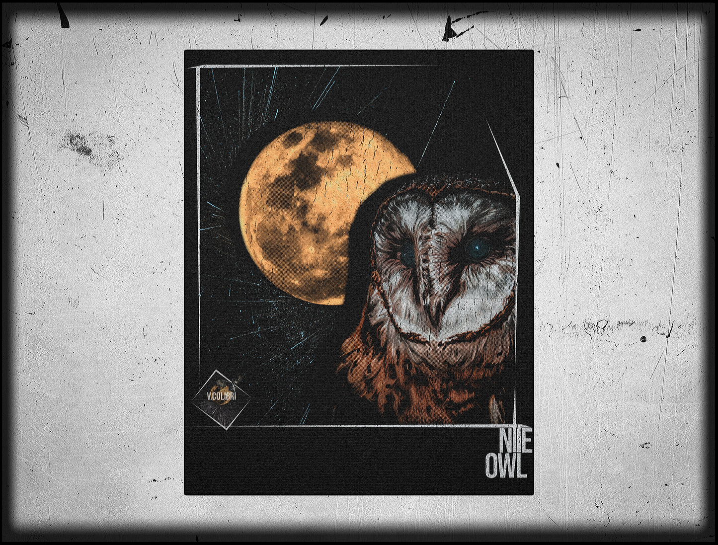 Nite Owl • Canvas Print