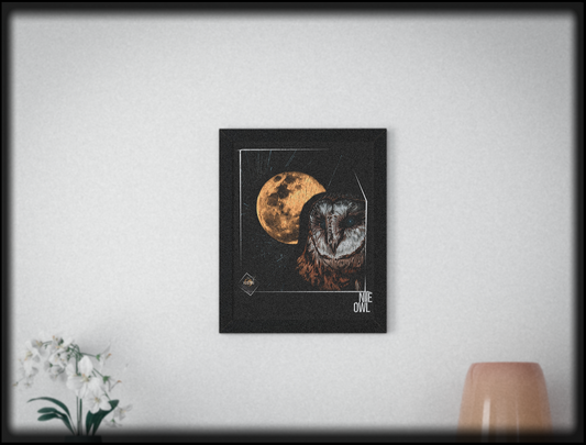 Nite Owl • Framed Print