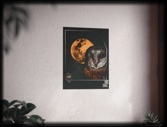 Nite Owl • Poster