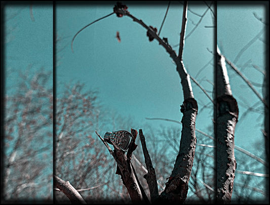 The I Tradition • Stainless Steel Spoon Ring