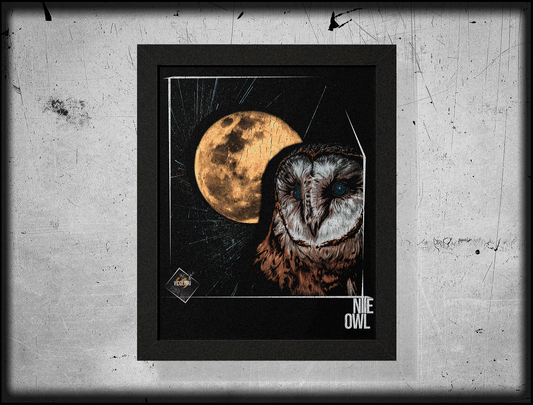 Nite Owl • Framed Print