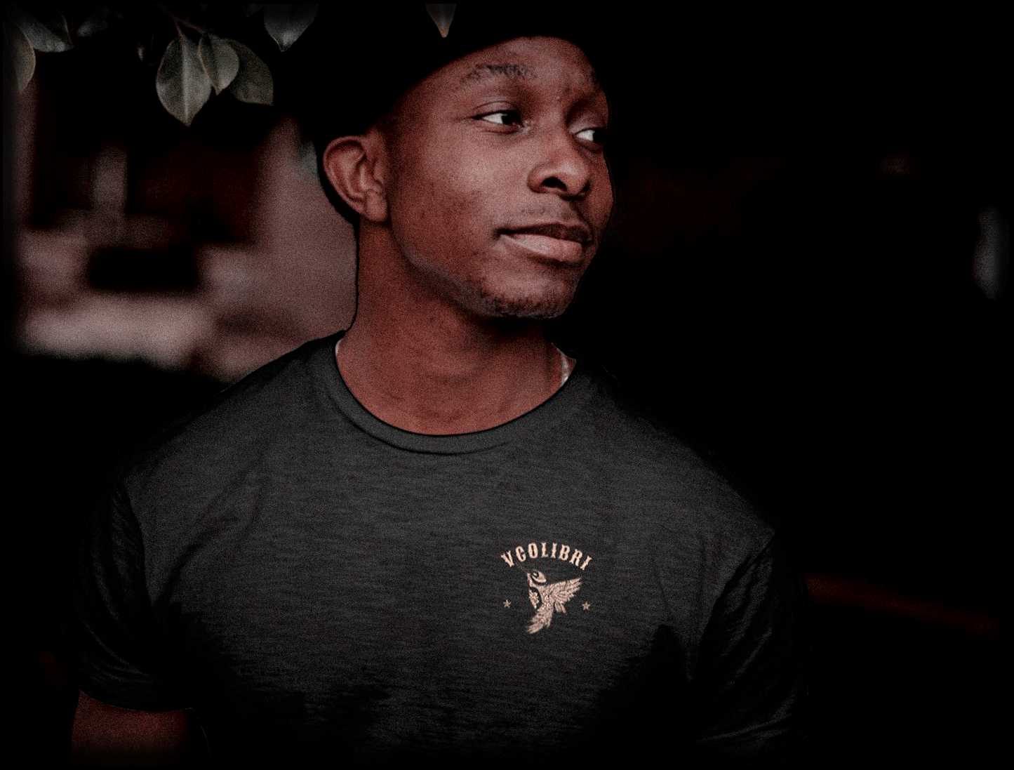 The Hummingbird • SoftStyle T-Shirt